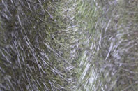 Yorkletts fibreglass roof work